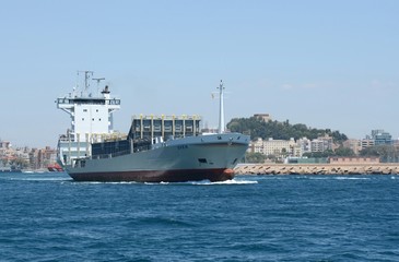 Fototapeta na wymiar Container ship 