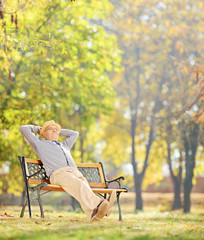 Senior gentleman sitting on wooden bench and relaxing in park