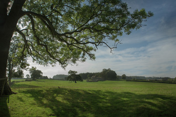 Picturesque view of countryside, Cotswold, England