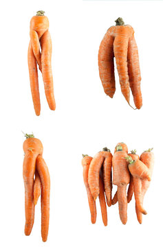 Crazy Carrots
