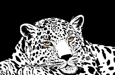 Naklejka premium leopard with gold eyes