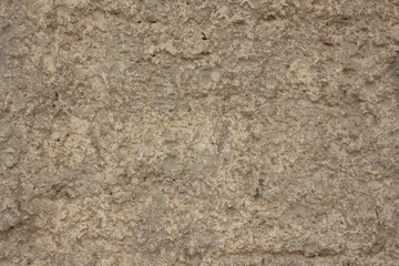 Close up concrete wall 