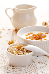 Healthy breakfast.  Muesli and apple yogurt