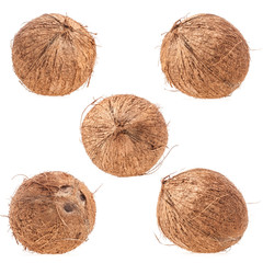Collection of Coconut isolated on white background