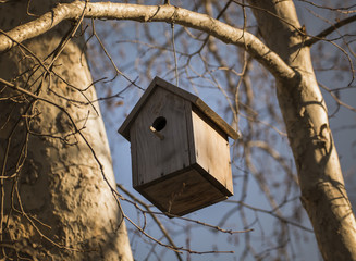 The Bird House