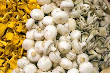 Грибное ассорти на прилавке