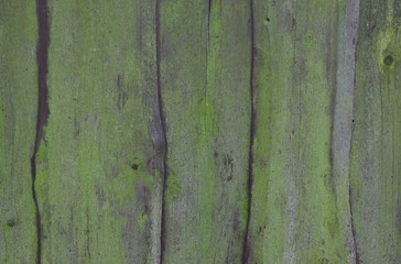 Hintergrund grünes Holz
