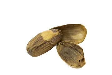 Acorn in autumn, removed shell