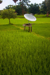 Satellite antenna in a rice field, Don Det island, Laos