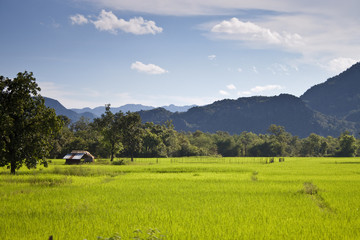 Fototapeta premium Countryside in central Laos