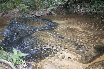 Riverbed carvings at Kbal Spean in Angkor temple area, Cambodia