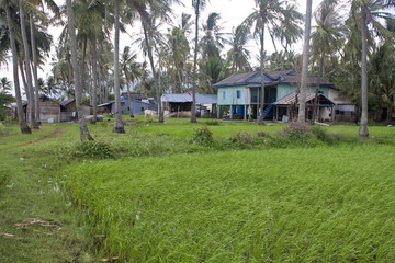 Fototapeta na wymiar Wieś w pobliżu Kampot, Kambodża
