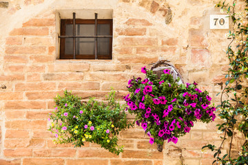 Fototapeta na wymiar Tuscan flowers