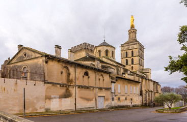 Fototapeta na wymiar Katedra Notre-Dame des Doms w Awinion, Francja