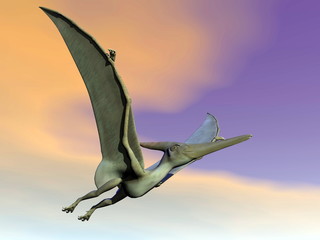 Pteranodon dinosaur flying - 3D render © Elenarts