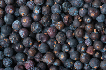 Wacholderbeeren, Juniper Berries