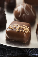 Gourmet Fancy Dark Chocolate Truffle Candy