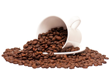 Coffee cup