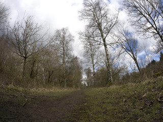 Obraz premium Nagshead RSPB Reserve, Gloucestershire