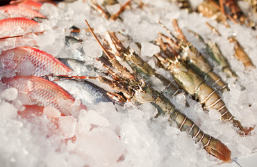 Fresh shrimps in ice on the market
