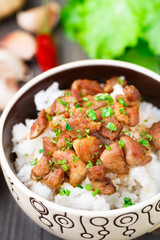 Bowl of rice with meat