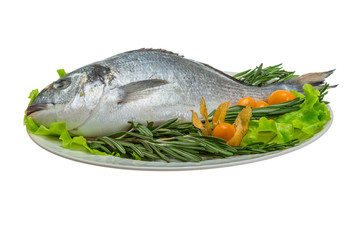 Raw dorada