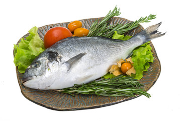Raw dorado with herbs