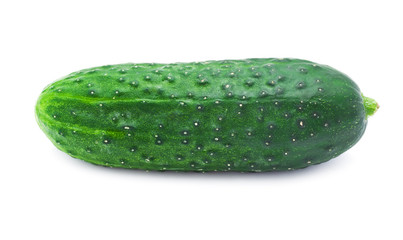 Fresh cucumber