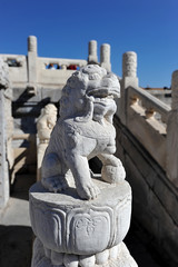 Obraz premium a marble figure of a lion in the forbidden city in Beijing, Chin