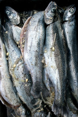 Raw trout fish