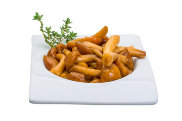 Armillaria