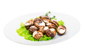 Escargot