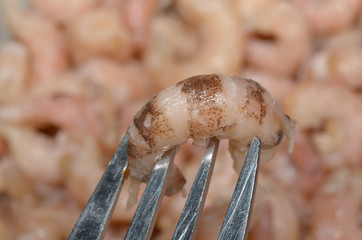 gepulte Krabbe auf Gabel