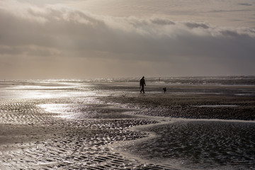 person walking dog at stormy day at beach