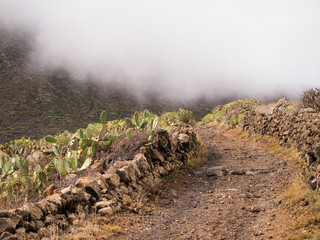 Weg durch eine Schlucht auf Teneriffa