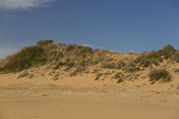 Fototapeta na wymiar Desert duna