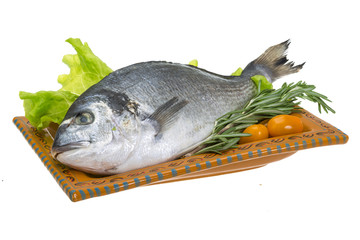 Raw dorado