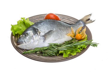 Raw dorado with herbs
