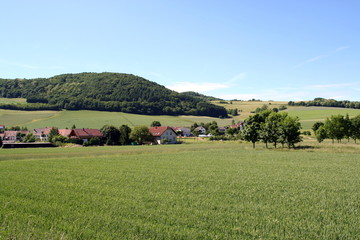 Fototapeta premium Landschaft
