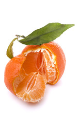 clementina su sfondo bianco