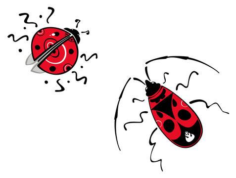 Cute stylized ladybug and firebug