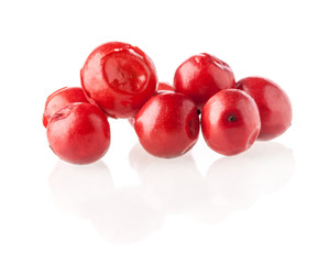 Red peppercorn (