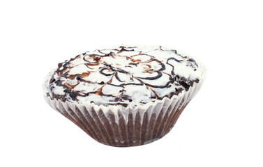 chocolate muffin isolated