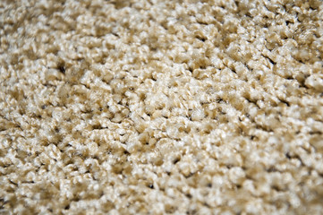 Beige carpet detail