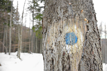 Blue dot marking sign