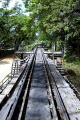 Fototapeta na wymiar Railway into the Forest