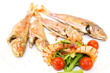grilled fish with shrimp salad