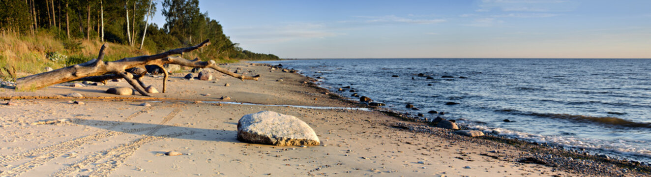 Stony beach at the gulf of Riga, Baltic Sea, Latvia