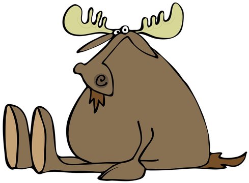 Sitting moose