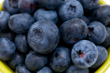 blueberries background